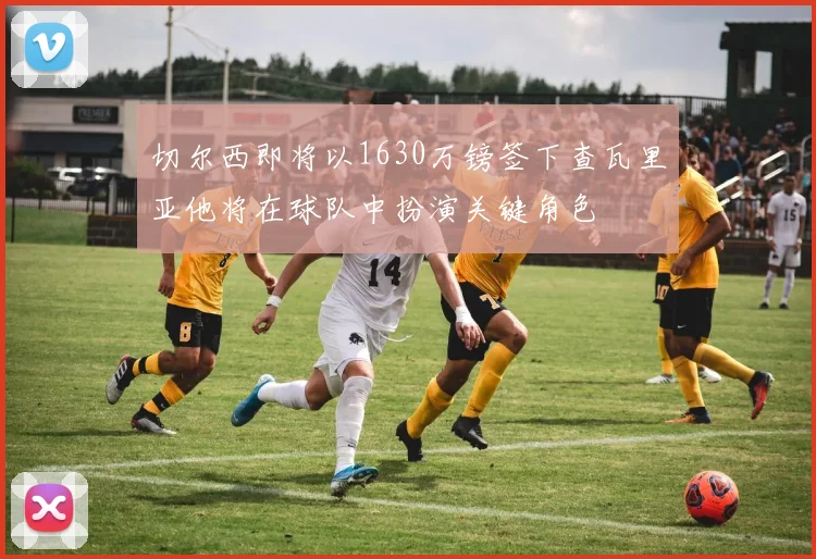 切尔西即将以1630万镑签下查瓦里亚他将在球队中扮演关键角色